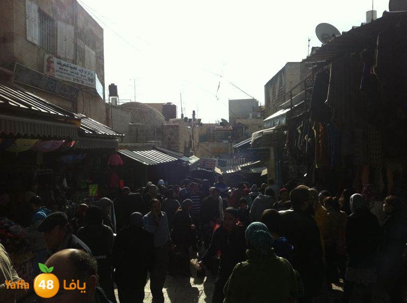 yaffa byareq 0114 (5).jpg